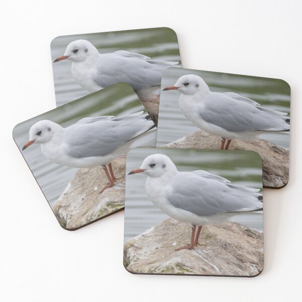 Item preview, Black Headed Gull designed and sold by LaurenTucker.