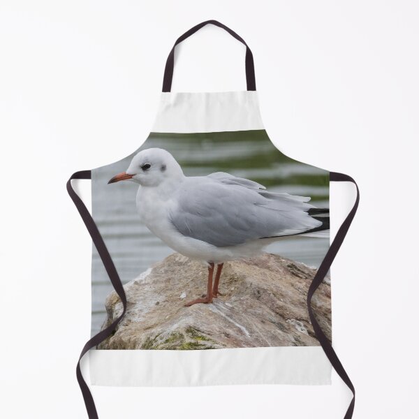 Item preview, Black Headed Gull designed and sold by LaurenTucker.
