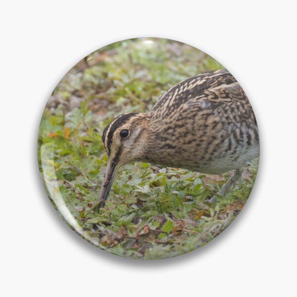 Item preview, Common Snipe designed and sold by LaurenTucker.
