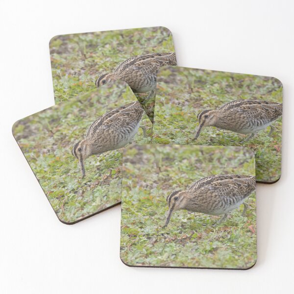 Item preview, Common Snipe designed and sold by LaurenTucker.