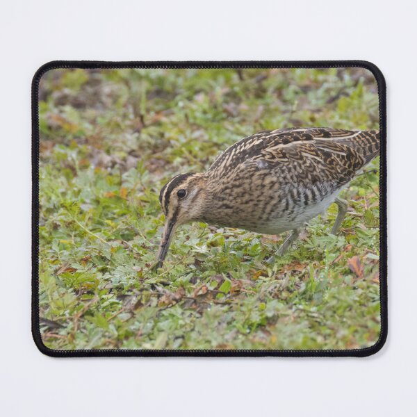 Item preview, Common Snipe designed and sold by LaurenTucker.