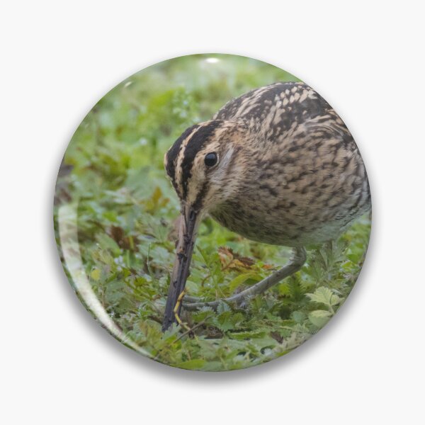 Item preview, Common Snipe designed and sold by LaurenTucker.