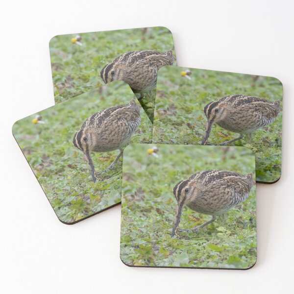 Item preview, Common Snipe designed and sold by LaurenTucker.