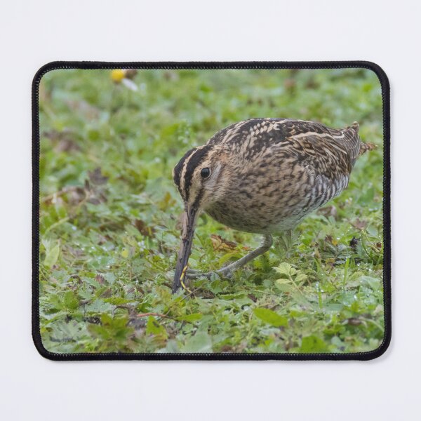 Item preview, Common Snipe designed and sold by LaurenTucker.