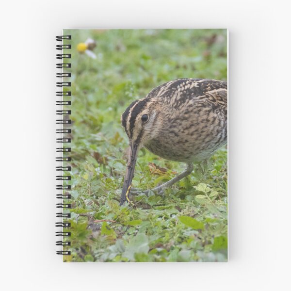 Item preview, Common Snipe designed and sold by LaurenTucker.