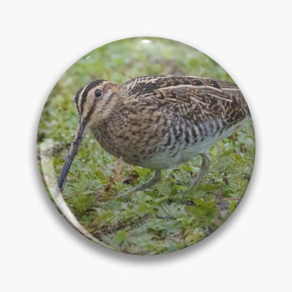 Item preview, Common Snipe designed and sold by LaurenTucker.