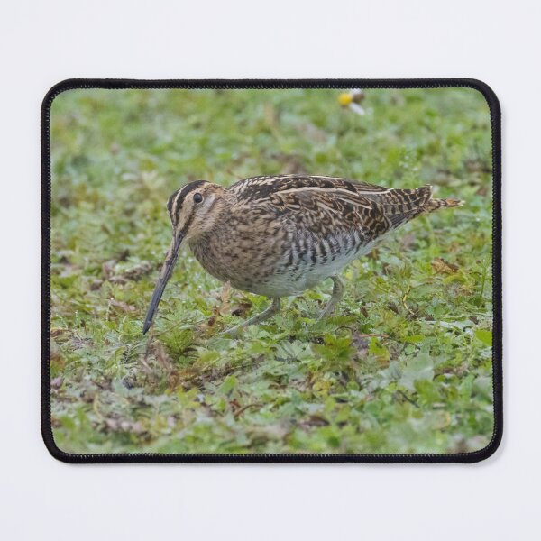 Item preview, Common Snipe designed and sold by LaurenTucker.