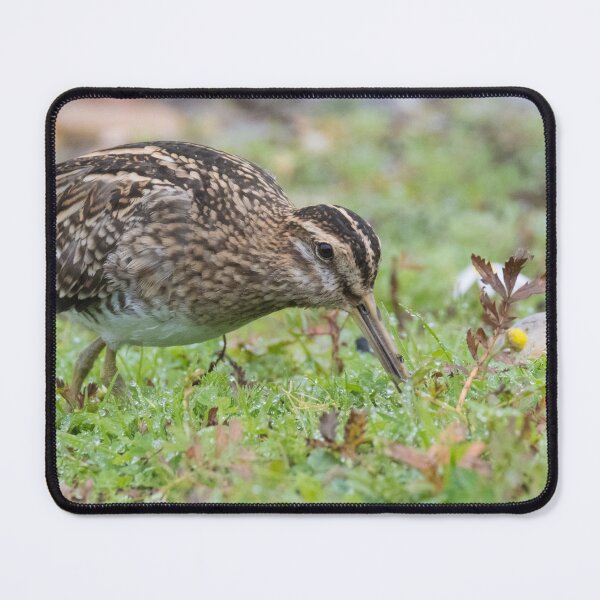 Item preview, Common Snipe designed and sold by LaurenTucker.