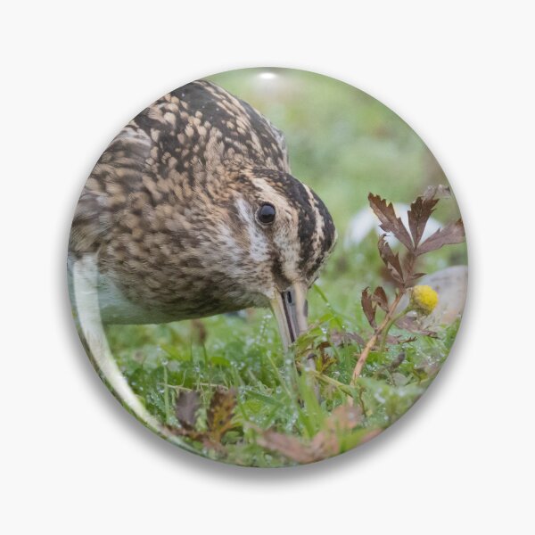 Item preview, Common Snipe designed and sold by LaurenTucker.