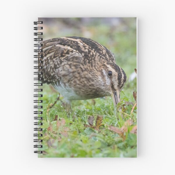 Item preview, Common Snipe designed and sold by LaurenTucker.