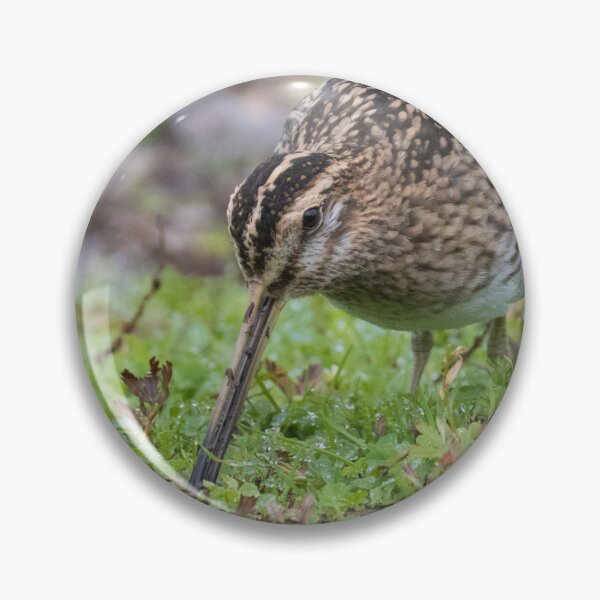 Item preview, Common Snipe designed and sold by LaurenTucker.