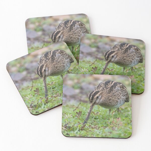 Item preview, Common Snipe designed and sold by LaurenTucker.