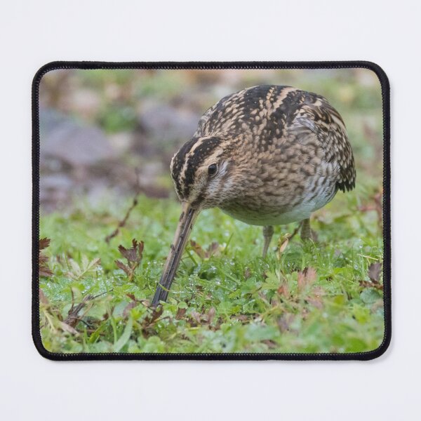 Item preview, Common Snipe designed and sold by LaurenTucker.