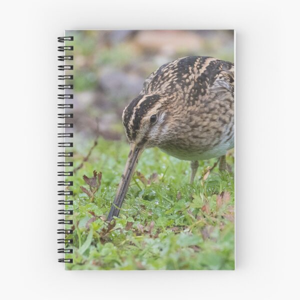 Item preview, Common Snipe designed and sold by LaurenTucker.