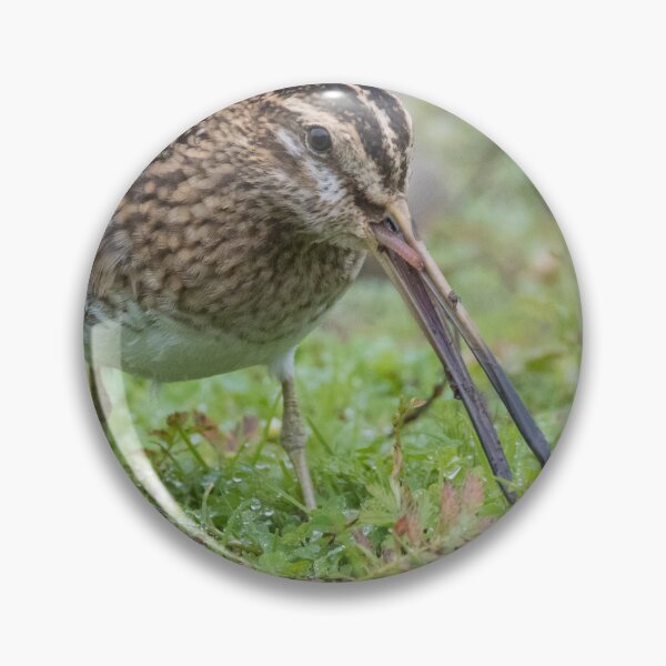 Item preview, Common Snipe designed and sold by LaurenTucker.