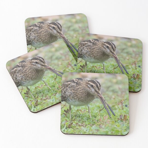Item preview, Common Snipe designed and sold by LaurenTucker.
