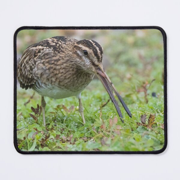 Item preview, Common Snipe designed and sold by LaurenTucker.