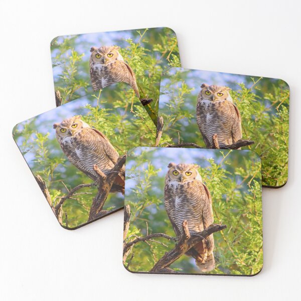 Item preview, Stunning Lovely Great Horned Owl  designed and sold by simonjayphotos.