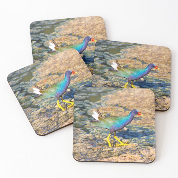 Item preview, Gorgeous American Purple Gallinule  designed and sold by simonjayphotos.