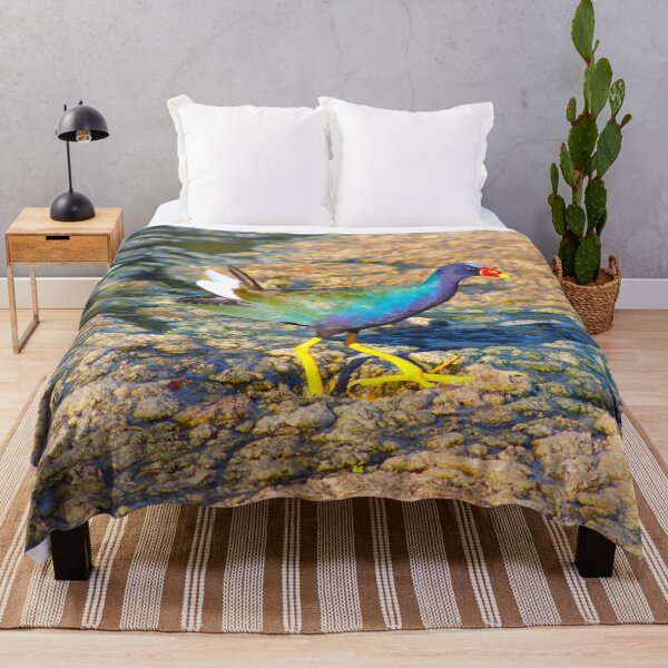 Item preview, Gorgeous American Purple Gallinule designed and sold by simonjayphotos.