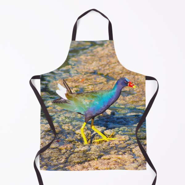 Item preview, Gorgeous American Purple Gallinule designed and sold by simonjayphotos.