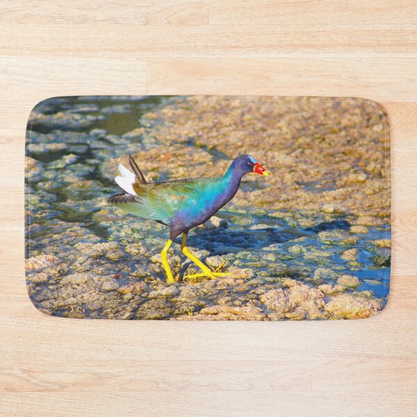 Item preview, Gorgeous American Purple Gallinule  designed and sold by simonjayphotos.