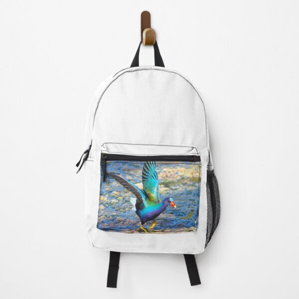 Item preview, American Purple Gallinule Wings Out designed and sold by simonjayphotos.
