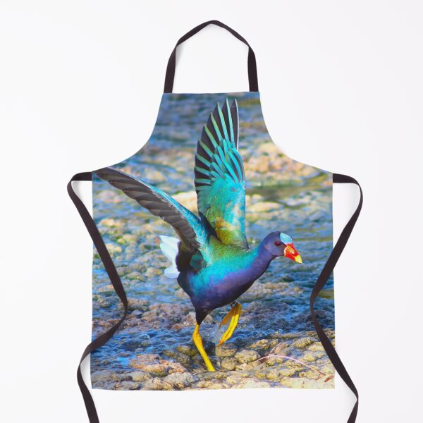 Item preview, American Purple Gallinule Wings Out designed and sold by simonjayphotos.