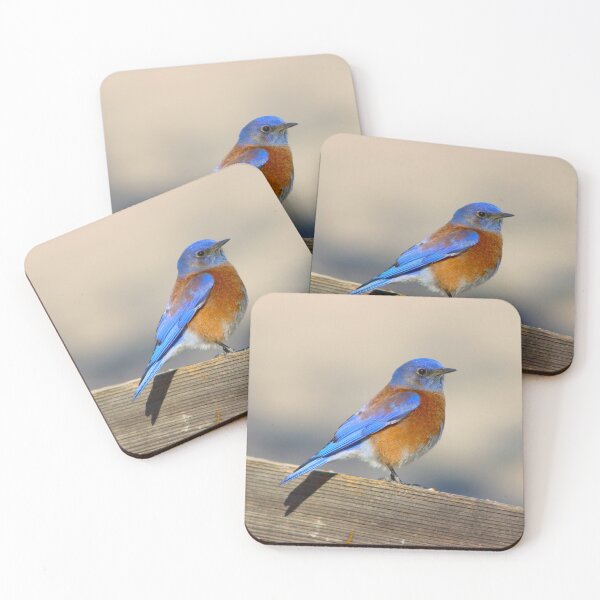 Item preview, Stunning Western Blue Bird designed and sold by simonjayphotos.