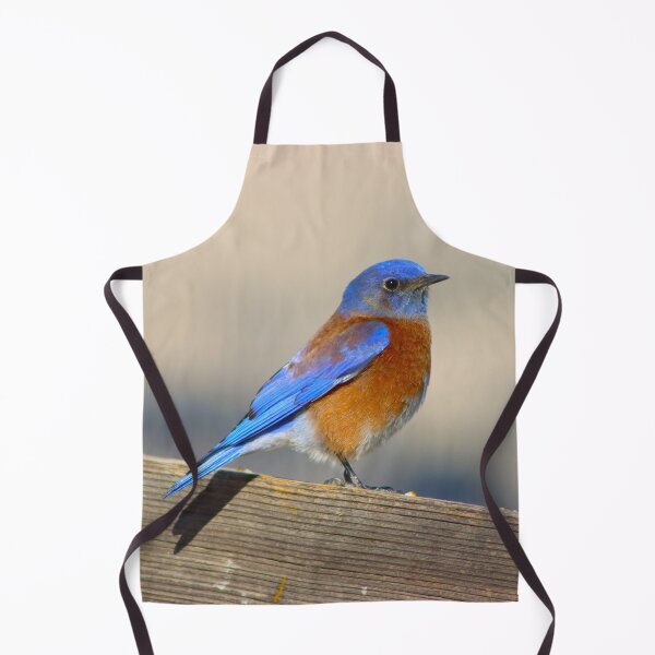 Item preview, Stunning Western Blue Bird designed and sold by simonjayphotos.
