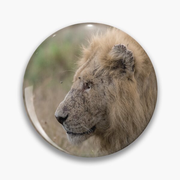 Item preview, Grass Sentinel — Casper, the White Lion (Kruger) designed and sold by DavideAntoniani.