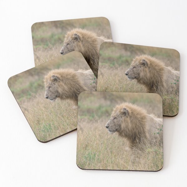 Item preview, Grass Sentinel — Casper, the White Lion (Kruger) designed and sold by DavideAntoniani.