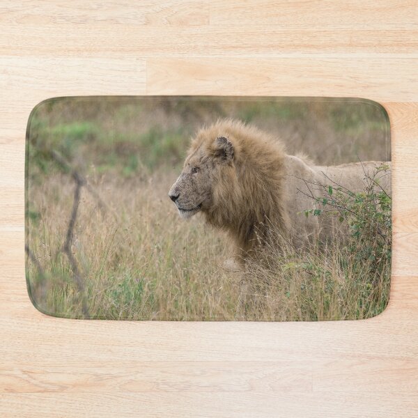 Item preview, Grass Sentinel — Casper, the White Lion (Kruger) designed and sold by DavideAntoniani.