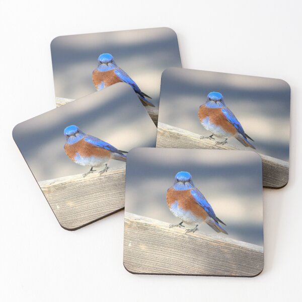 Item preview, Pretty Blue Bird  designed and sold by simonjayphotos.