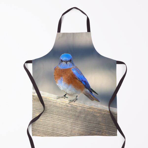 Item preview, Pretty Blue Bird designed and sold by simonjayphotos.
