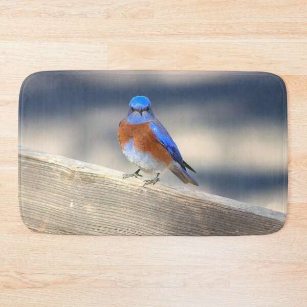 Item preview, Pretty Blue Bird  designed and sold by simonjayphotos.