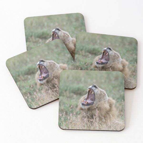 Item preview, Before the Roar — Casper, the White Lion (Kruger) designed and sold by DavideAntoniani.