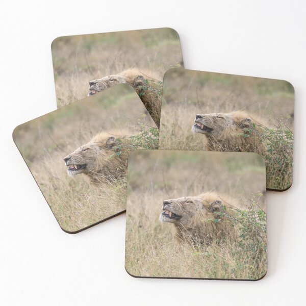 Item preview, Flehmen in the Grass — Casper, the White Lion (Kruger) designed and sold by DavideAntoniani.
