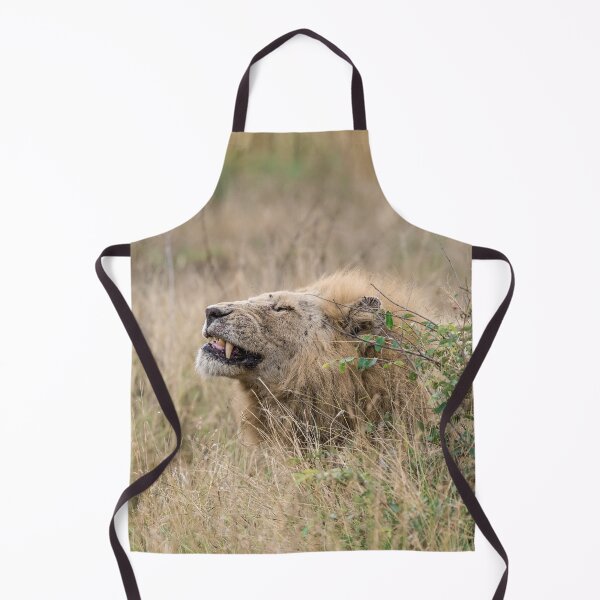 Item preview, Flehmen in the Grass — Casper, the White Lion (Kruger) designed and sold by DavideAntoniani.