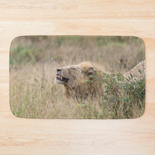 Item preview, Flehmen in the Grass — Casper, the White Lion (Kruger) designed and sold by DavideAntoniani.