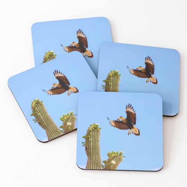 Item preview, Crested Caracara Bird In Flight And Saguaro Cactus designed and sold by simonjayphotos.