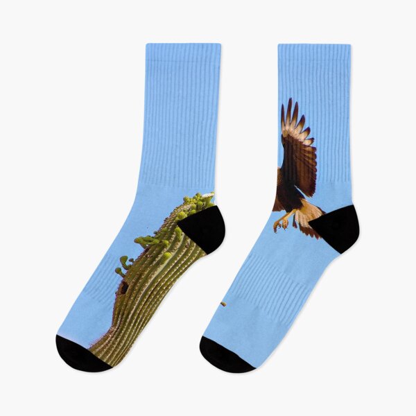 Item preview, Crested Caracara Bird In Flight And Saguaro Cactus designed and sold by simonjayphotos.