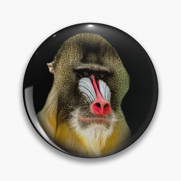 Item preview, Mandrill designed and sold by Guardi71.