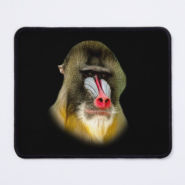 Item preview, Mandrill designed and sold by Guardi71.