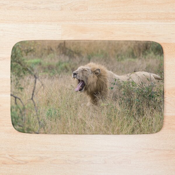 Item preview, Yawning Through the Grass — Casper, the White Lion (Kruger) designed and sold by DavideAntoniani.