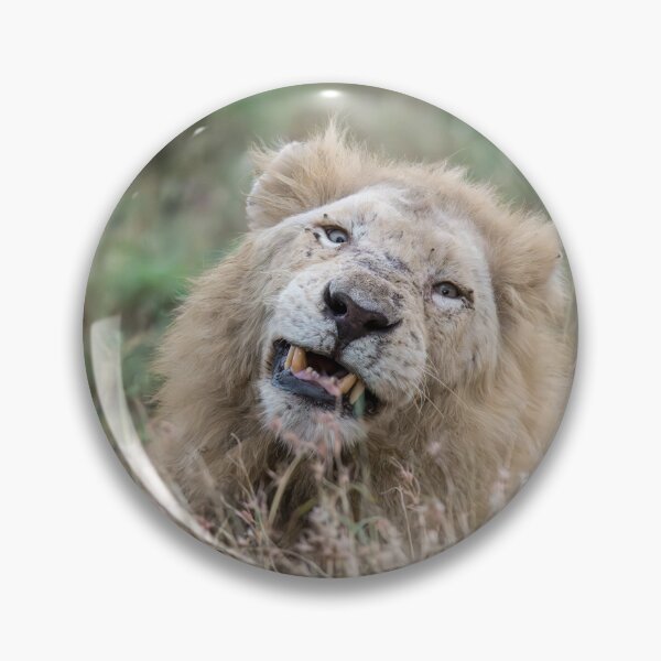 Item preview, Casper’s Quizzical Grin — White Lion (Kruger) designed and sold by DavideAntoniani.
