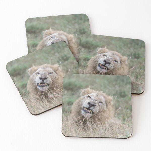 Item preview, Casper’s Quizzical Grin — White Lion (Kruger) designed and sold by DavideAntoniani.