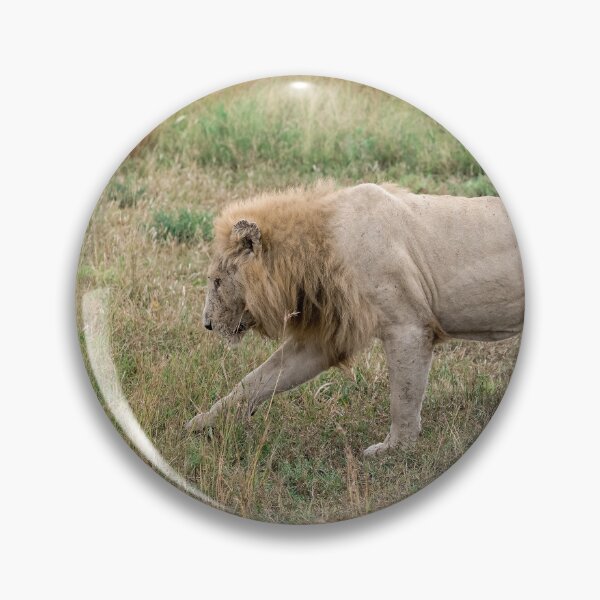 Item preview, White Ghost in Motion — Casper, the White Lion (Kruger) designed and sold by DavideAntoniani.