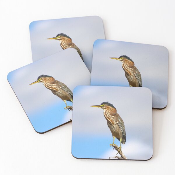 Item preview, Stunning Green Heron designed and sold by simonjayphotos.