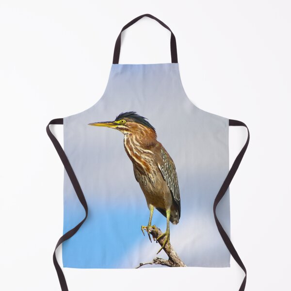 Item preview, Stunning Green Heron designed and sold by simonjayphotos.